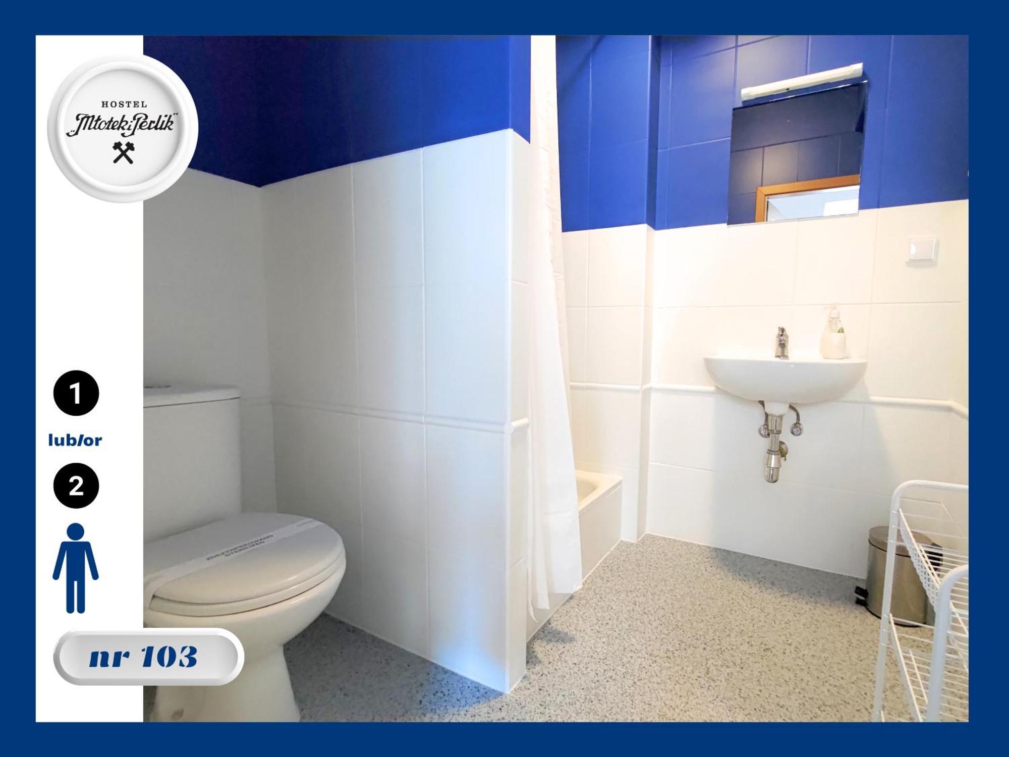 Hostel Mlotek I Perlik Tarnowskie Góry Exteriér fotografie